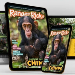 FREE Digital Subscription to Ranger Rick Magazines