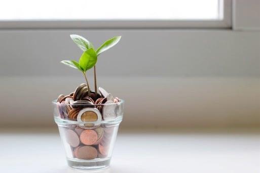 Money in a Pot with Growing Tree