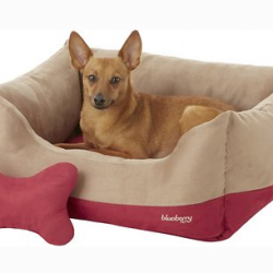Chewy Dog Bed