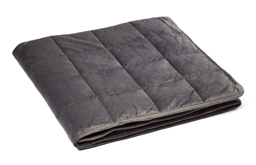 Gray Microplush Weighted Blanket Millihome 