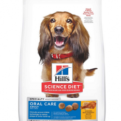 Hill's Science Diet Dry Dog Food