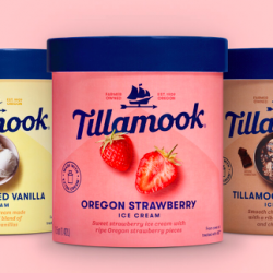 FREE 48oz Tillamook Ice Cream Product (Printable Coupon)