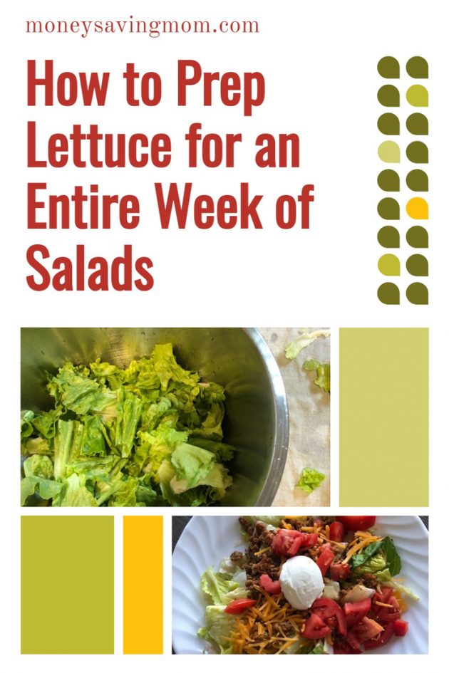 how to store lettuce for a week of salads