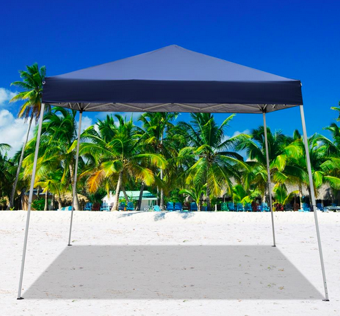 10'x10' Instant Canopy