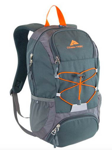 Ozark Trail 20L Thomas Hollow Backpack with Insulated Cooler Pocket