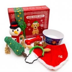 Holiday Dog or Cat Gift Boxes