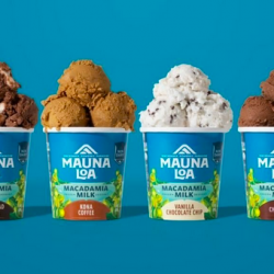 Mauna Loa Ice Cream
