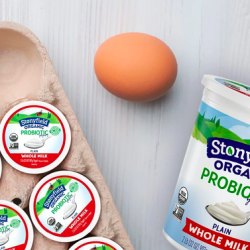 FREE 32oz tubs of Stonyfield Organic yogurt