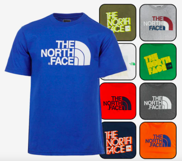 The North Face Boy's Surprise Tee