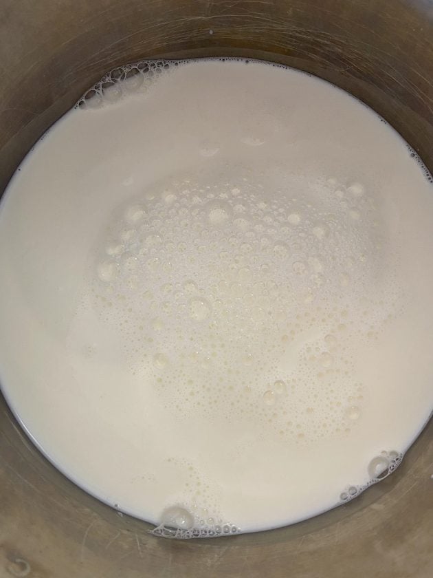milk for homemade yogurt