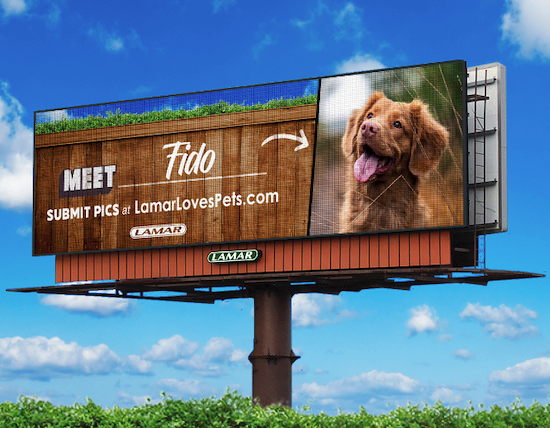 Free Personalized Pet Billboard