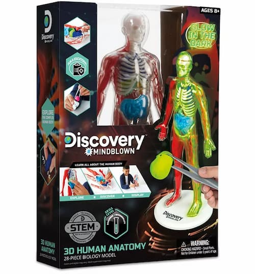 Discovery Mindblown 3D Human Anatomy 28-Piece Biology Model