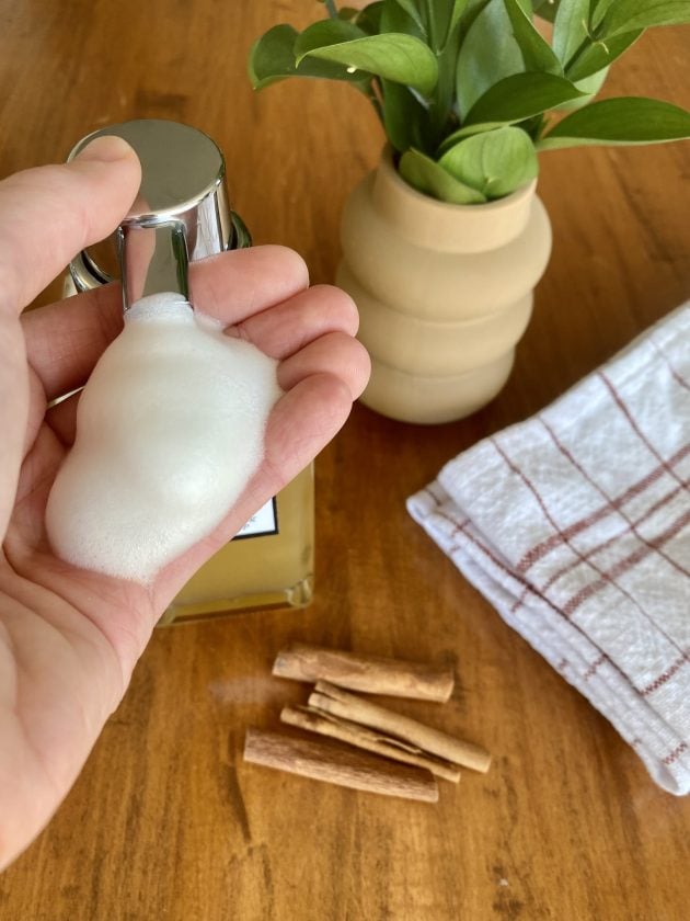 DIY Foaming Hand Soap with Free Printables