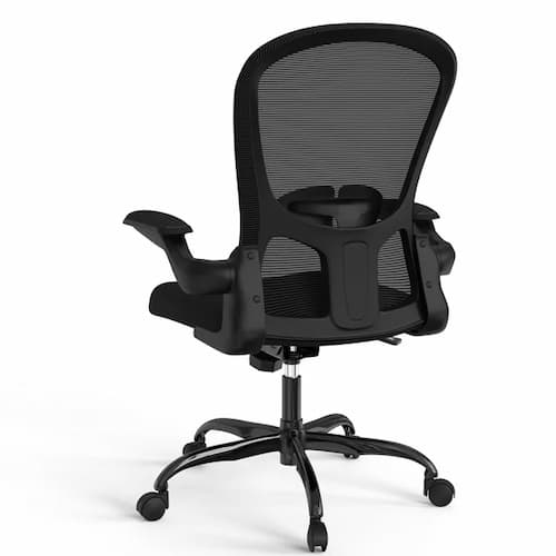 Lioncin Ergonomic Office Chair in Black