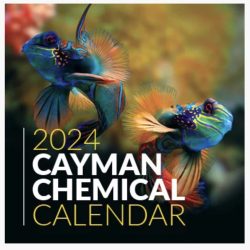 FREE 2024 Cayman Calendar