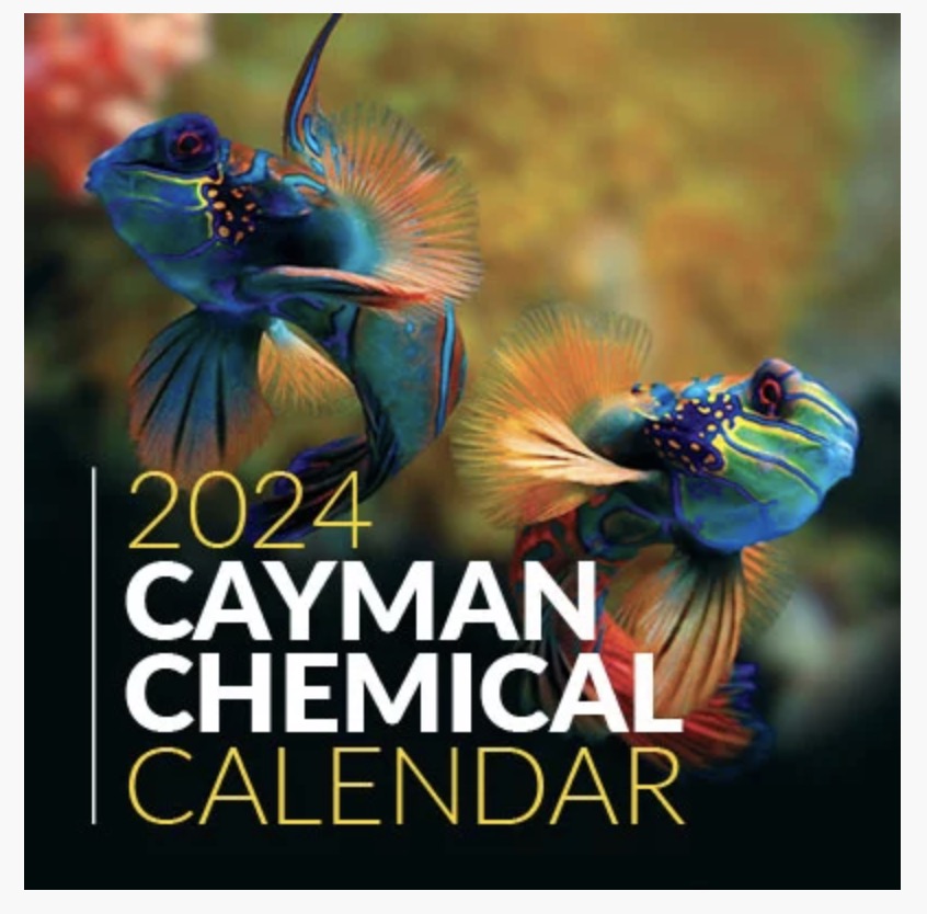 Free 2024 Cayman Calendar Money Saving Mom®