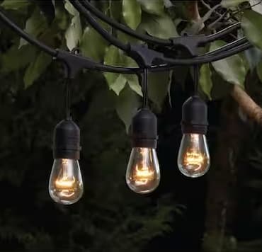 Black Indoor/Outdoor 12-Light 24 ft. Incandescent Edison String Light