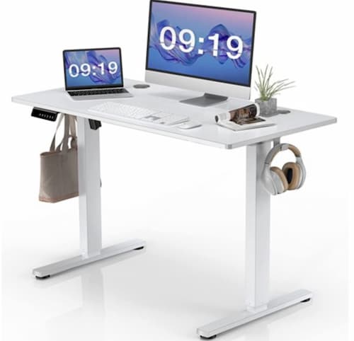 Standing Desk, 48 x 24 in Electric Height Adjustable Computer Desk