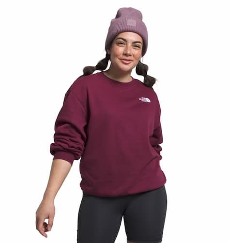 Women's The North Face Evolution Oversized Crew Sweatshirt in Boysenberry