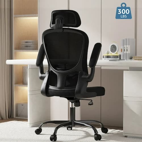 Lioncin High Back Ergonomic Office Chair with Headrest