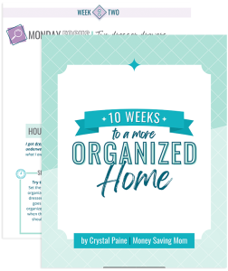 10 Weeks To Organized Home sample pages.