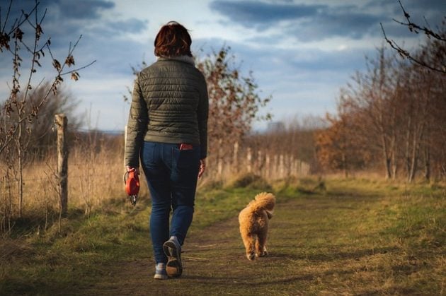 best jobs for teens: dog walking