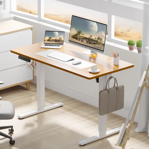 Koree Standing & Height-Adjustable Desk
