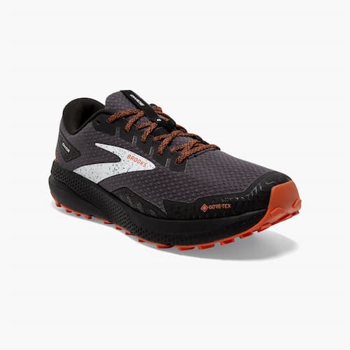 Men's Divide 4 GTX Trail Running Shoes