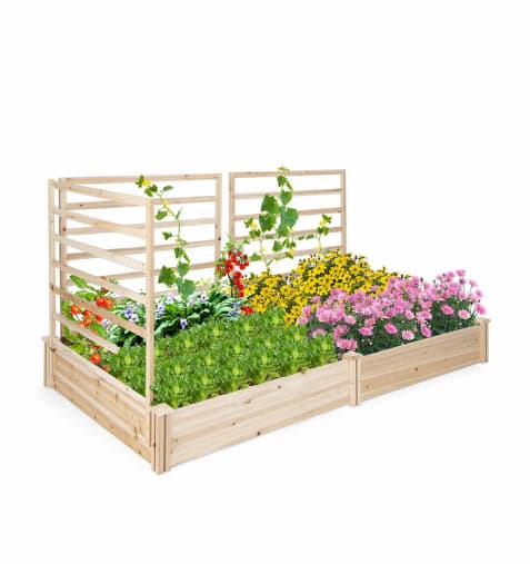 Raised Garden Bed with Trellis (Set of 2)