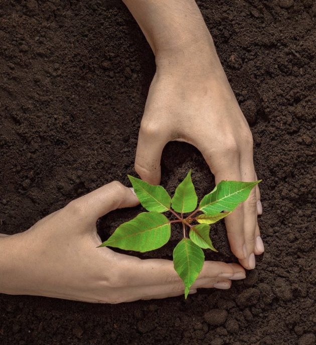 Plantable Seed Paper Heart