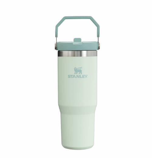 Stanley 30 Oz.  IceFlow Tumbler with Flip Straw