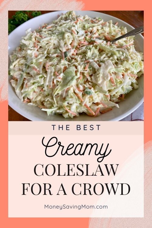 Creamy Coleslaw Recipe for a Crowd