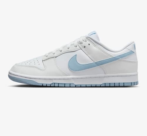 Nike Dunk Low Retro Men's Shoes