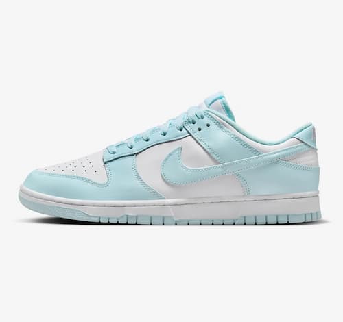 Nike Dunk Low Retro Men's Shoes