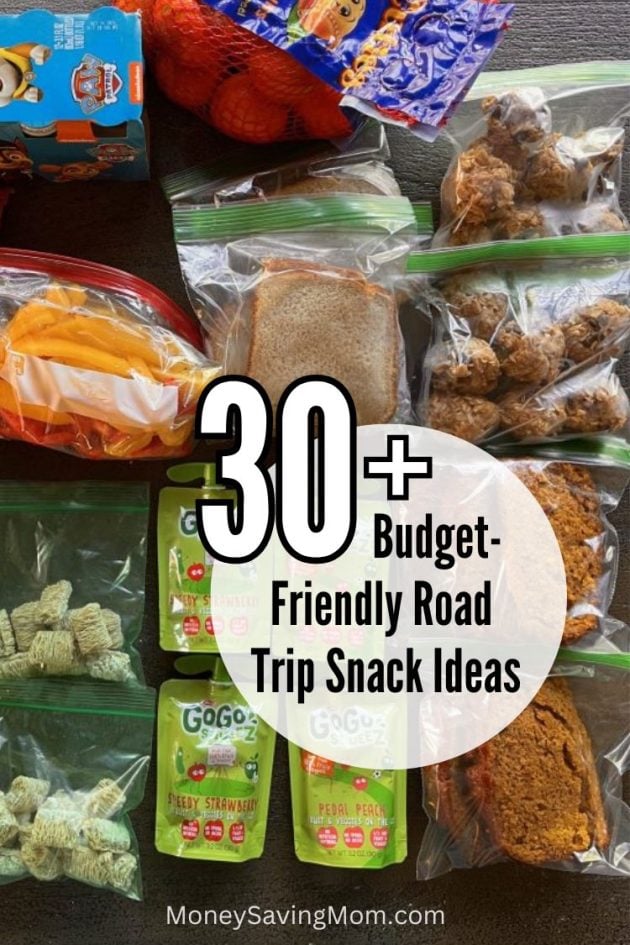 best easy road trip snacks on a budget