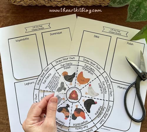 Free Printable Chicken Breeds Layered Wheel