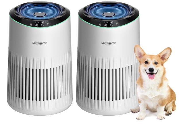 *HOT* MORENTO Air Purifier (2 pack) only $38.63 shipped!