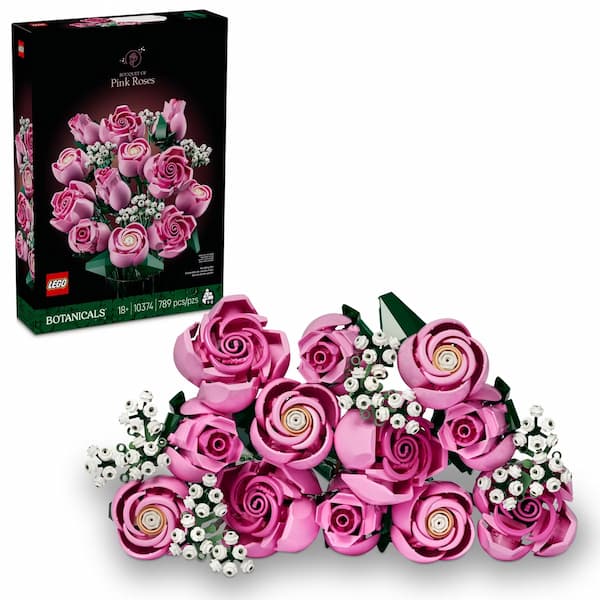Botanicals Bouquet of Pink Roses 