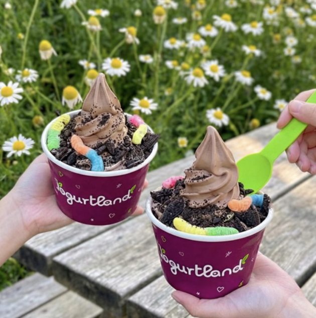 Yogurtland: Buy One, Get One Free Dirt Cups on April 22nd!