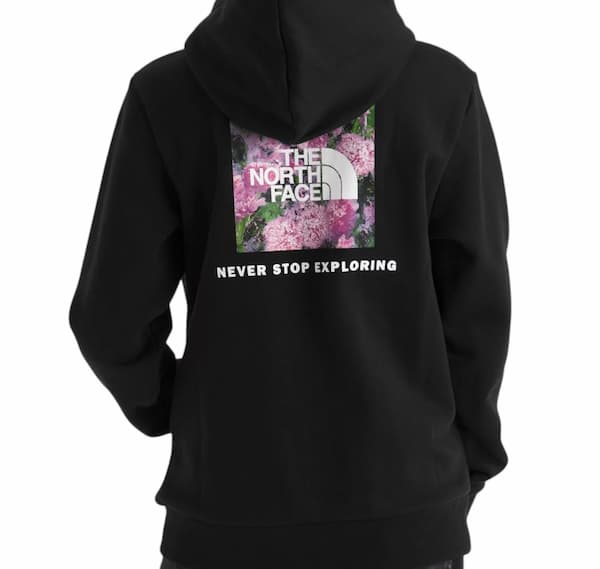 The North Face Kids' Evolution Box NSE Pullover Graphic Hoodie
