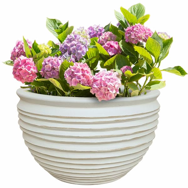 Better Homes & Gardens Medium 8in Diameter Round White Dune Ceramic Planter deal