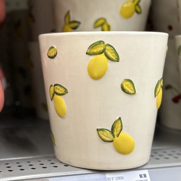Mainstays Round Ceramic Lemon Planter deal