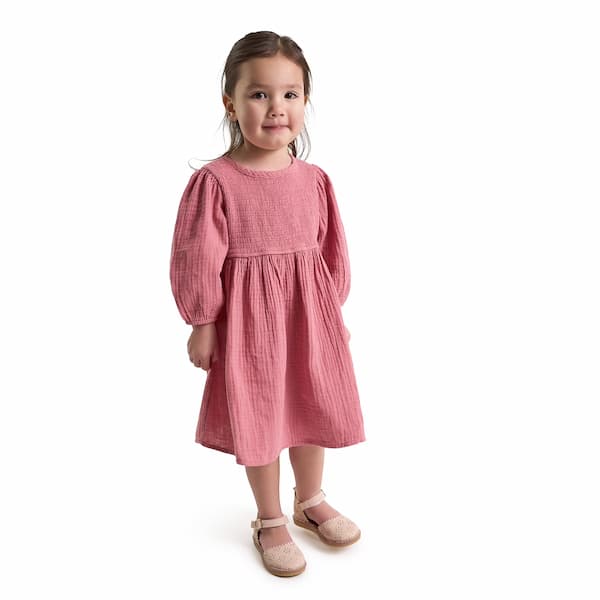 Modern Moments by Gerber Toddler Girl Smocked Dress