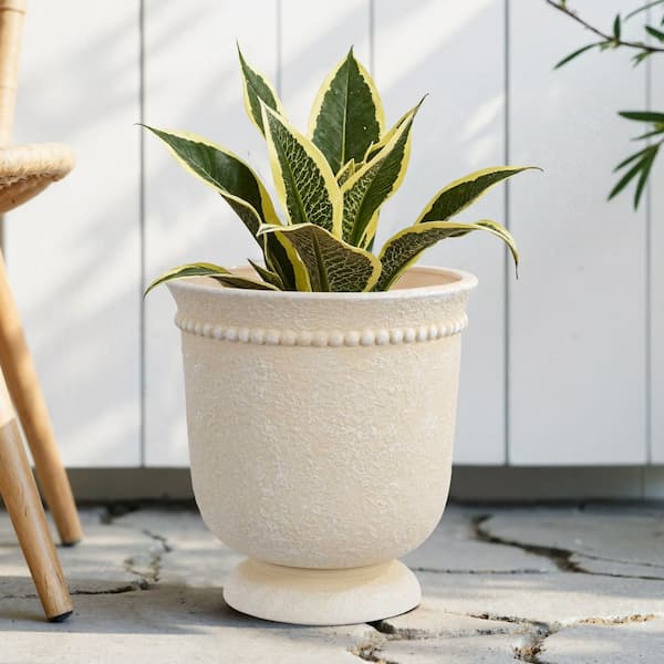 My Texas House 8" Cream Dot Urn deal