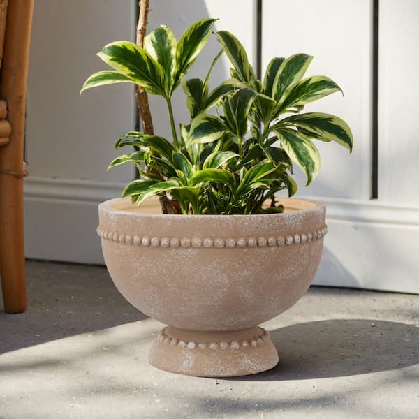 My Texas House 8" Dot Bowl Brown Ceramic Plant Pot deal