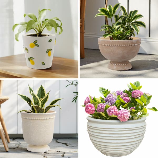 Walmart-Planters-deals.jpg