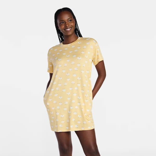 Joyspun Women's Dreamy Soft Collection Short Sleeve Sleepshirt