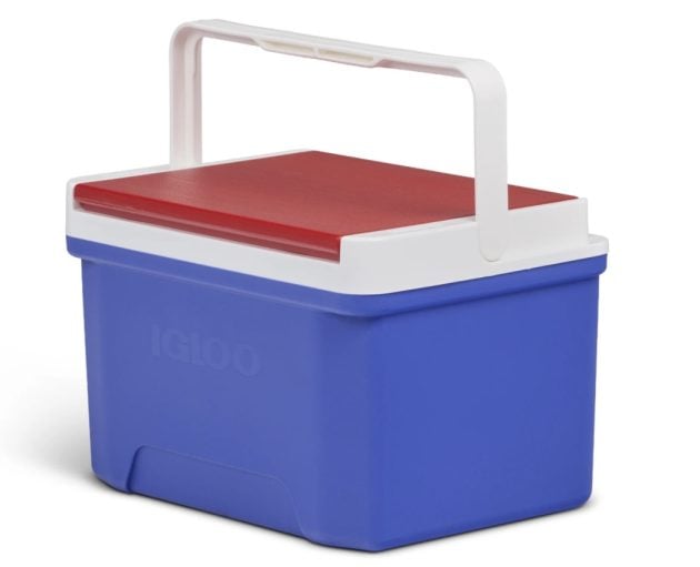 Igloo 9 Quart Laguna Cooler only $13.44!
