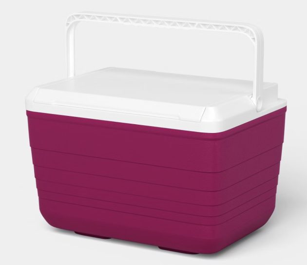 Sun Squad 10-Quart Hard Sided Cooler only $7, plus more!