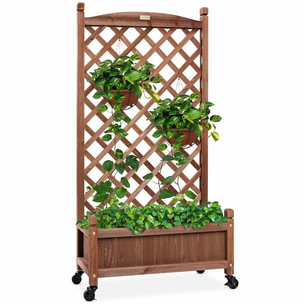 *HOT* Wood Planter Box with Diamond Lattice Trellis only $59.99 shipped!